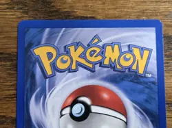 Pokemon Wotc Black Star Promo # 43 Machamp,,not played - Image 5
