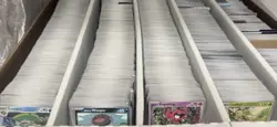 6000+ Pokemon Card Bulk Lot | COMMON & UNCOMMON | C/UC | NM | Big Collection - Image 5