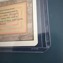 MTG Taiga Revised Edition - Great condition - Image 2