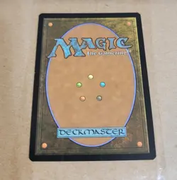 Magic the Gathering Exalted Sunborn (Showcase) Edge of Eternities Foil Card - Image 4