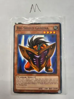 Yu-Gi-Oh! TCG Big Shield Gardna Regular - Image 1