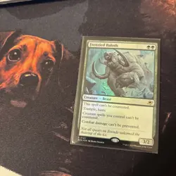 Mtg FOIL Frenzied Baloth - Edge of Eternities + Bonus Foils - Image 1