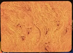 Sorcery Contested Realm: Beta - River of Flame - Foil Unique - Image 2