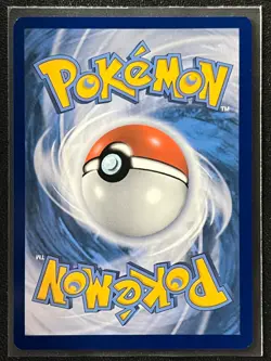 Arceus V SWSH204 Black Star Promo - Premium Collection Pokemon Box Near Mint NM - Image 2