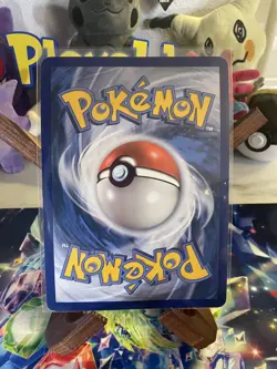 M Sharpedo EX XY200 XY Jumbo Promo Card - Image 2