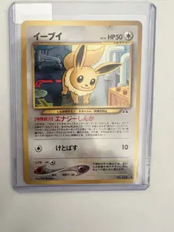 Pokemon Japanese Pikachu & Eevee Cards Nintendo Vintage Lot - Image 3
