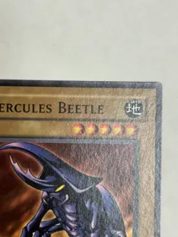 Hercules Beetle TP1-025 Tournament Pack 1 Unlimited - Image 2