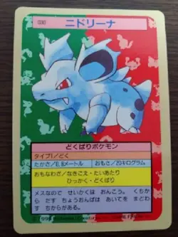 private listing pokemon card order No. 10-13851-42917 - Image 1