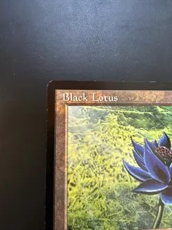 6x9 MTG Black Lotus Oversized 1996 Scrye Promo - Image 2