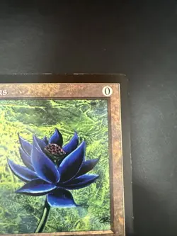 6x9 MTG Black Lotus Oversized 1996 Scrye Promo - Image 5