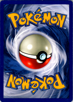 Pokemon Wartortle Base Set 42/102 Uncommon NM Vintage Card - Image 2