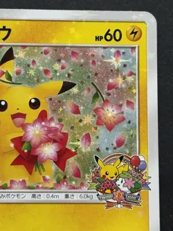 Pokemon card Pikachu 224/SM-P Promo 2018 Pokemon TCG Japanese Holo Rare Nintendo - Image 3