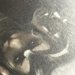 Helm of the Host Dominaria Regular - Image 3