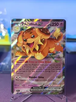 Dachsbun ex 067/142 Double Rare Stellar Crown Pokemon - Pack Fresh Near Mint NM - Image 1