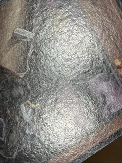 Yu-Gi-Oh! TCG Gozuki SR07-EN013 Zombie Horde 1st Edition Common LP - Image 5