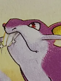 Rattata (Shadowless) - 61/102 Base Set - 1st Edition - Pokemon TCG LP-NM - Image 4