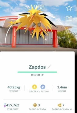 Pokemon - Shiny Zapdos + Articuno PokePark KANTO Background - PTC - Description - Image 1