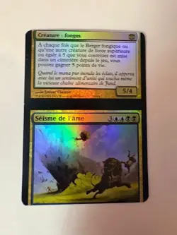 French Foil Soulquake NFC Miscut Alara Reborn MTG - Image 1