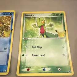 Pokemon TCG 3 Card Lot 25th Anniversary Torchic Mudkip Treecko Oversized Cards - Image 2