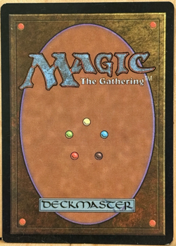 LIMITED EDITION Tempest Vintage MtG Tradewind Rider Unplayed NM - Image 2