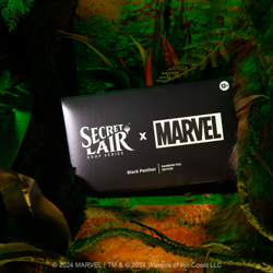 MTG Magic The Gathering Marvel Secret Lair Black Panther Foil Sealed - Image 5