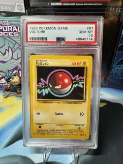 Pokemon TCG Voltorb Base Set, Unlimited Common PSA 10 GEM MINT - Image 1