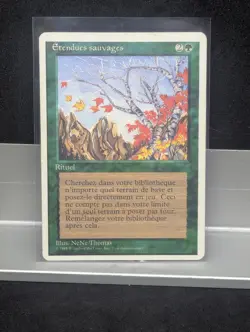 Untamed Wilds FRENCH X1 LP MTG Core Set 4th Edition MTG - Image 1