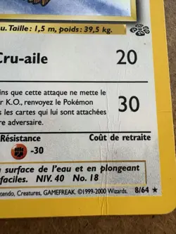 ROUCARNAGE (PIDGEOT) - French, Rare Uncommon, Jungle, MP, 24/64⍣ (Pokemon TCG) - Image 3