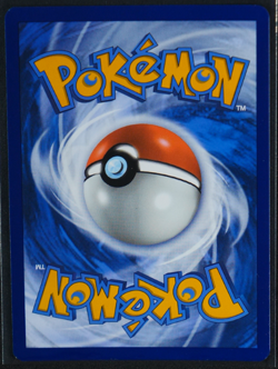 Paldean Wooper - Holo Promo #041 SV: Scarlet & Violet Promo Cards NM - Image 2