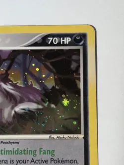 Mightyena Holo 10/109 ex Ruby & Sapphire 2003 NM Pokemon - Image 5