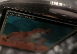 Ocelot Pride MTG textless Champion Store Promo Near Mint English MTG - Image 5