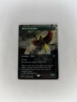 Birds of Paradise (Borderless) Commander: Bloomburrow Regular - Image 1