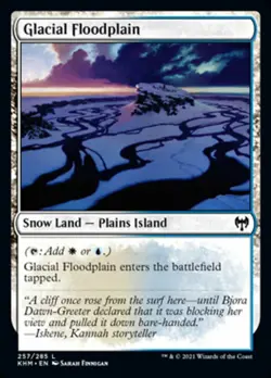 MTG Kaldheim *FOIL* C Glacial Floodplane #257 - Image 1