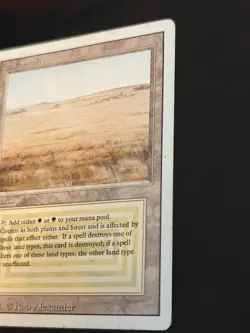 Savannah Revised Edition MTG Magic the Gathering - Image 4