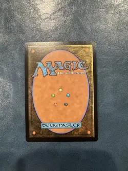 1x Sungrass Prairie, Surge Foil, Final Fantasy, Magic MTG NM - Image 2