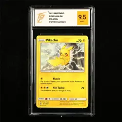 TQG 9.5 MINT+ 2019 Pokemon ENG Pikachu 66/236 C - Image 1