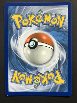 Pokemon 2019 Pikachu SM162 Sun & Moon Black Star Promo Holo Card TCG - Image 4