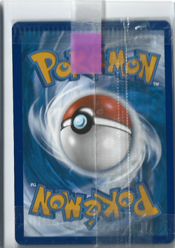 Pokemon Lucario VSTAR SWSH291 Crown Zenith ETB Holo Black Star Promo SEALED #SWS - Image 2