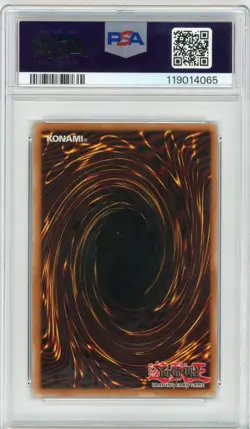 PSA Dan Green Signed Dark Paladin (Reprint Artwork) MFC-105 Magician's Force - Image 2