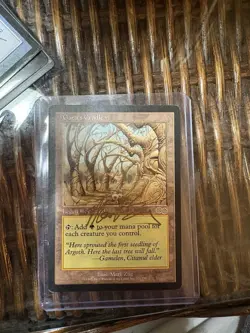 Gaea's Cradle Autographed Legendary Land Magic The Gathering Wizards of the Coa. - Image 2