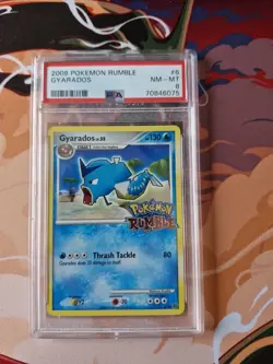 PSA 8 gyarados 6/16 pokemon rumble - Image 1