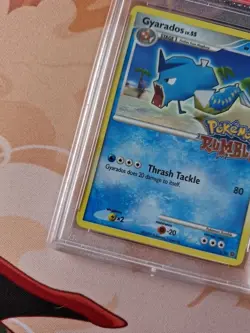 PSA 8 gyarados 6/16 pokemon rumble - Image 5