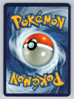 Charizard ex 234/091 Special Illustration Rare Paldean Fates Pokemon Card CUSTOM - Image 2