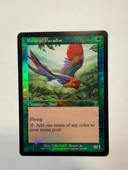 Birds of Paradise 7th Edition Foil - Image 2