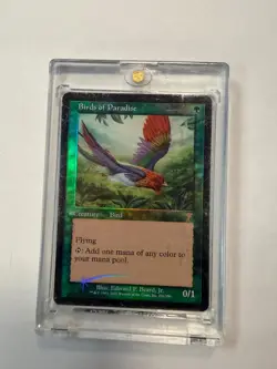 Birds of Paradise 7th Edition Foil - Image 4