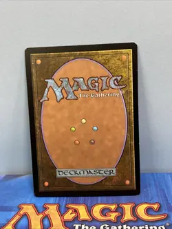 Reflecting Pool Conspiracy Regular - Image 2