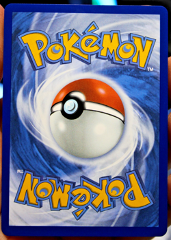 Shuckle Illustration Rare ME01: Mega Evolution 136/132 NM Pokemon TCG - Image 2
