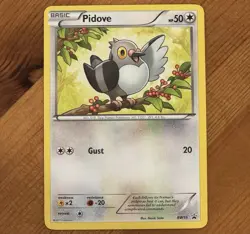 Pidove BW15, LP, Toys R Us Mystery Promo, Rare, Black & White, Pokemon TCG Cards - Image 1