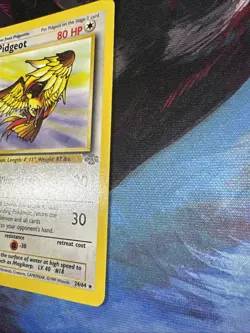 Pokemon TCG Pidgeot Card 24/64 Jungle Unlimited Edition Regular MP Vintage - Image 3