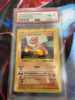 1999 Pokemon Game Base Set CHARMELEON Shadowless Card #24 PSA 8 NM-MT Rare! - Image 1